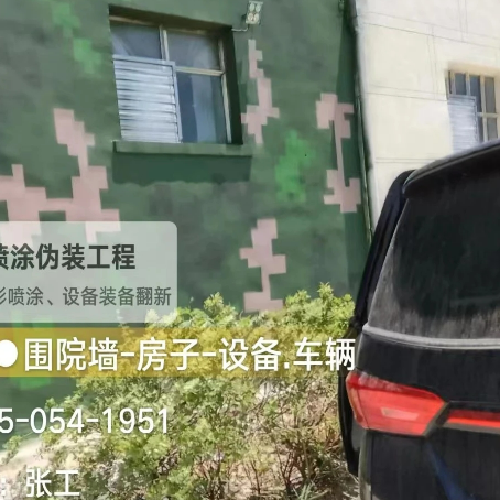 云浮数码迷彩漆施工